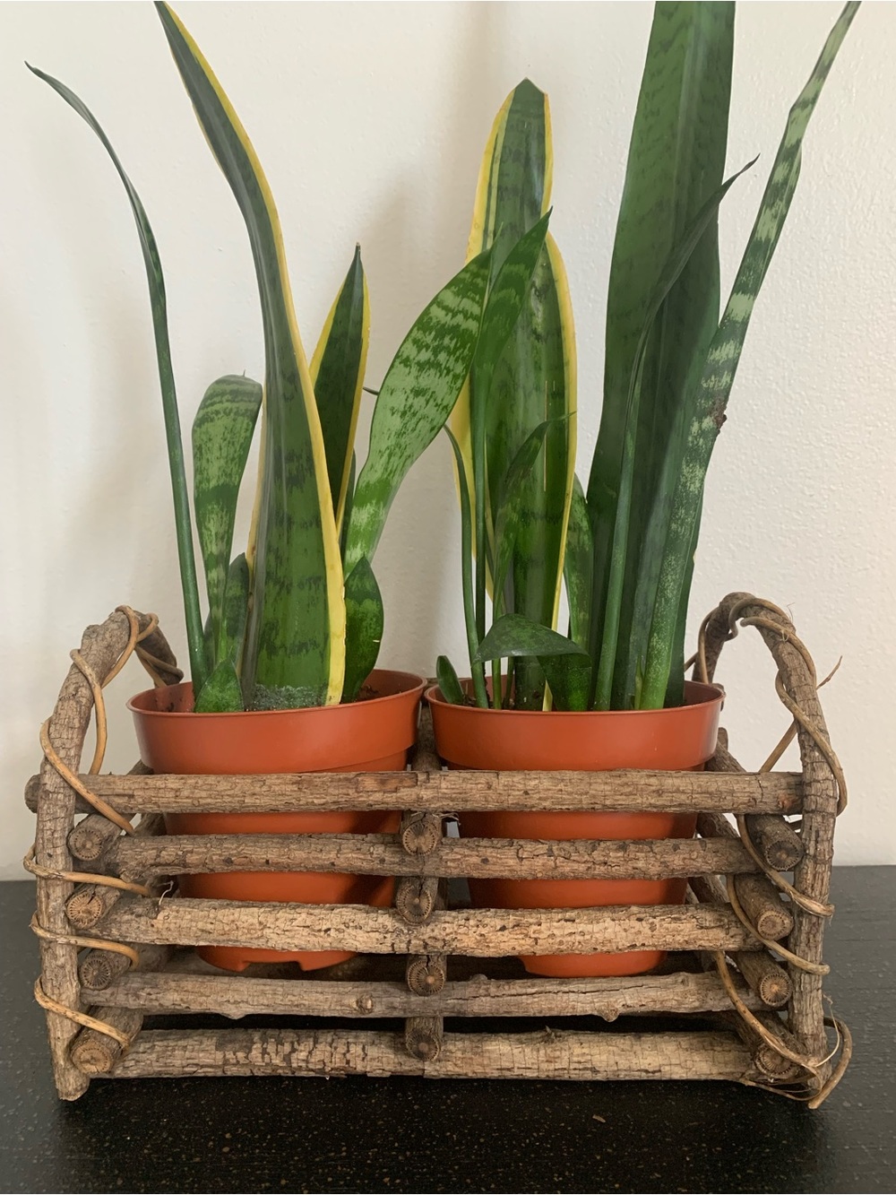 Rustic Twig Planter
